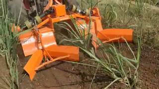 Inter Row Rotary Tiller Rotary Intercultivator [upl. by Einnahpets]