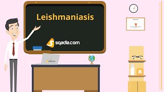 Leishmaniasis  Animation Video  Infectious Medicine  VLearning™  sqadiacom [upl. by Kenlee314]