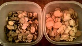 Dehydrated Potatoes Blanched vs non blanched [upl. by Treblig421]