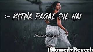 KITNAPNGAL DIL HAI ❤️Love lofi Song  Slowed × Reverb  Hindi kitna Son [upl. by Ollopa304]