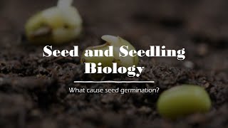 Seed and Seedling Biology [upl. by Nilla]