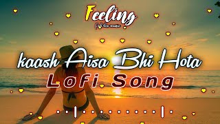 kaash Aisa Bhi Hota Tum Mere Hote  Lofi Song  Love Song  Kaash Aisa Bhi Hota  Feel the Music [upl. by Leiva]