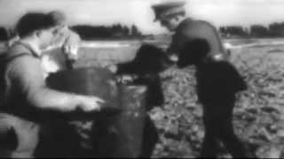 US Army newsreel Combat Bulletin 22 Operations In France etc Sept 1944 WWII full [upl. by Ralleigh]