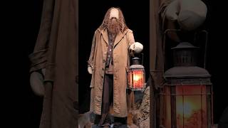 Harry Potter Hagrid dans la Forêt Interdite harrypotter hogwarts london themepark shorts [upl. by Ellatsirhc935]