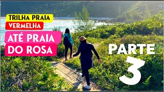 Trilha da Praia Vermelha para Praia do Rosa  PARTE 3 [upl. by Ecal476]