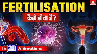 Fertilization कैसे होता है  3D Animation  Fertilization in Humans Full Process Explained [upl. by Iegres]