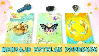 Mensaje de tu FAMILIA ESTELAR y tus ANCESTROS  Elige una Carta  Tarot Interactivo [upl. by Einram]