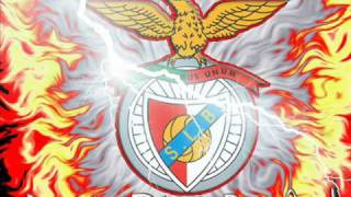 Vencer  benfica vencer vencer [upl. by Pauiie355]