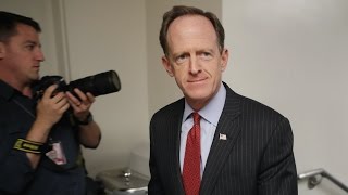 Republican Pat Toomey Wins in Pennsylvania Senate Race [upl. by Taddeo]