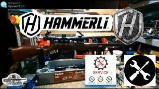 bartoli358 amp Hammerli Hunter Force 900 Combo 45mm Przegląd techniczny [upl. by Emelyne905]