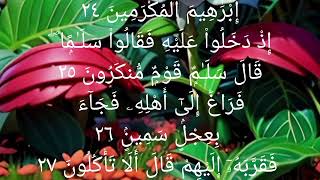 Surah Az Zariyat  para 27 Beautiful Tilawat Full [upl. by Anirbys]