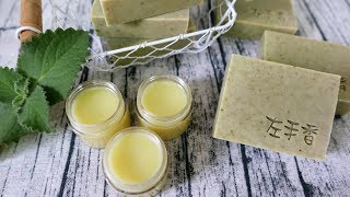 左手香皂amp左手香膏DIY  How to make herbal soap and ointment with Indian Borage [upl. by Milman516]