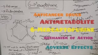 Anticancer drug antimetabolites  6Mercaptopurine mechanism of action [upl. by Sewellyn]