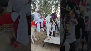 Lagan vivahmarriage lagan  functioncomedy shortvideo viralvideo [upl. by Rayham]