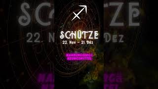 ♐ Schütze Wochenhoroskop 4 Woche November 2024 🌟 schütze [upl. by Aitselec]