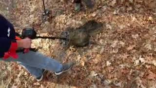 Excavating amp Metal Detecting In The Woods With My Minelab 540 Vanquish metaldetecting [upl. by Trotter871]