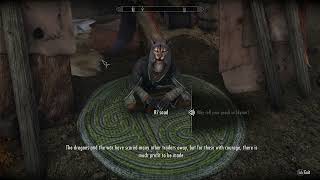 Skyrim Male Khajiit Voice replacer [upl. by Adlecirg450]