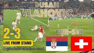 Srbija Švajcarska 23 gol DUSAN VLAHOVIC reakcija sa tribina [upl. by Ennyroc]