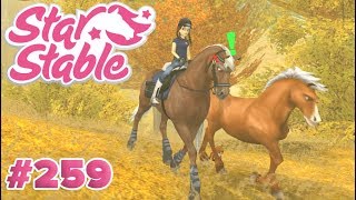 Spejarmäster och Meteor ☄️  Star Stable Online 259 [upl. by Wright]