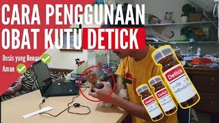 Obat kutu kucing paling ampuh dan cara pakai [upl. by Auhsot]