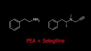 Phenethylamine  Selegiline  an quotAmphetaminelikequot Antidepressant [upl. by Lexis]