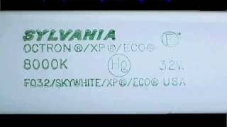 Sylvania F32T8 8000k SkyWhite Fluorescent [upl. by Dannon]