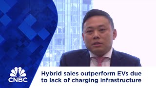 Hybrid sales outperform EVs due to lack of charging infrastructure analyst [upl. by Nho]