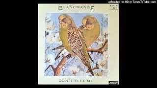 Blancmange  Dont Tell Me 1984 spiral tribe extended [upl. by Nerot]