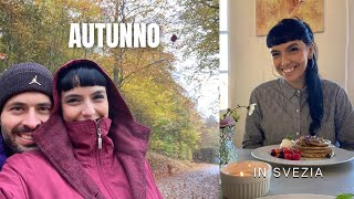 AUTUNNO IN SVEZIA [upl. by Eldwun]