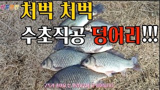 붕어낚시 부들수초 좋은 곳에서 덩어리가 우글 우글 월척 잡기 쉽다 bigfishing [upl. by Eendys]