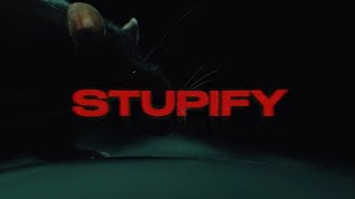 Mad Kelly  Stupify Official Music Video [upl. by Milka41]