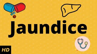 What is JaundiceCauses Signs and symptoms Diagnosis and treatment [upl. by Airotkiv]