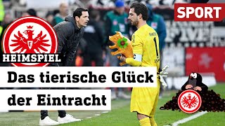 Eintracht Frankfurt Zurück in der Erfolgsspur Heimspiel  040324  Sport [upl. by Anesor]