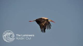 The Lumineers  Holdin Out Storks Soundtrack [upl. by Karsten]