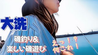 【茨城県釣り】那珂湊港〜初めての磯釣りamp磯遊び、今日も楽しく釣りをしよう♪ [upl. by Mook]