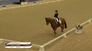 Wendi Williamson  Don Vito MH  winner of the CDI 3 Grand Prix [upl. by Ainoval]