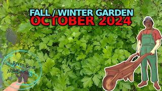 FALL  WINTER GARDEN OCTOBER 2024 riverbearaquaponics fallgarden wintergarden [upl. by Hyacinthia352]