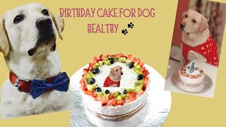 Homemade and healthy Dog Birthday cake Recipe  Pet Friendly Cake How to make cake for Dogs [upl. by Hymen]