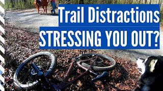 My 3 Secrets About Handling Distractions On The Trail [upl. by Primaveria844]