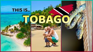 TOBAGO TRAVEL GUIDE Trinidad amp Tobago  Top sights in 4K  Drone [upl. by Arriet]