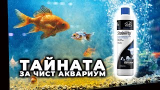 КРИСТАЛНО ЧИСТ АКВАРИУМ [upl. by Mathew]