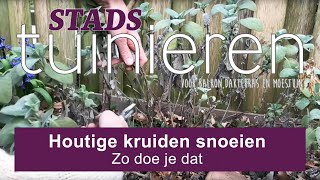 Stadstuinieren  Kruiden als tijm salie en lavendel snoeien moestuin [upl. by Ahsietal]