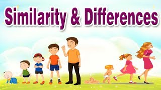 Similarity and Differences  Educational Videos For Kids [upl. by Suivatal972]