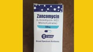 zancomycin 500mg uses in urdu Lincomycin HCl monohydrate effects and side effects [upl. by Gretal566]