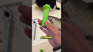 These Weird Pens Went Viral in China🤯 [upl. by Elok]