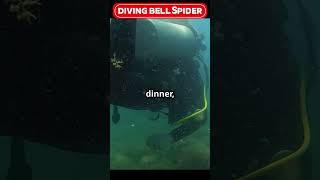 Diving Deep The Underwater World of the Diving Bel facts [upl. by Tiat639]