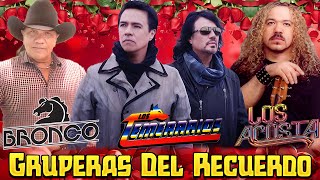 Los Temerarios Viejitas Románticas 💝 Románticas Del Ayer 💝 Mejores Viejitas Canciones Inolvidables [upl. by Comethuauc]