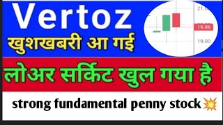 Vertoz Ltd biggest news 🔥 strong fundamental penny stock news l Vertoz Advertising Ltd share news l [upl. by Noxaj]