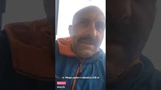 Wily despre mafioti si printese pe tik tok viata din Canada ❗️ [upl. by Lletnahs]