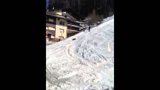 Funny dog sliding down ski slope [upl. by Gary661]